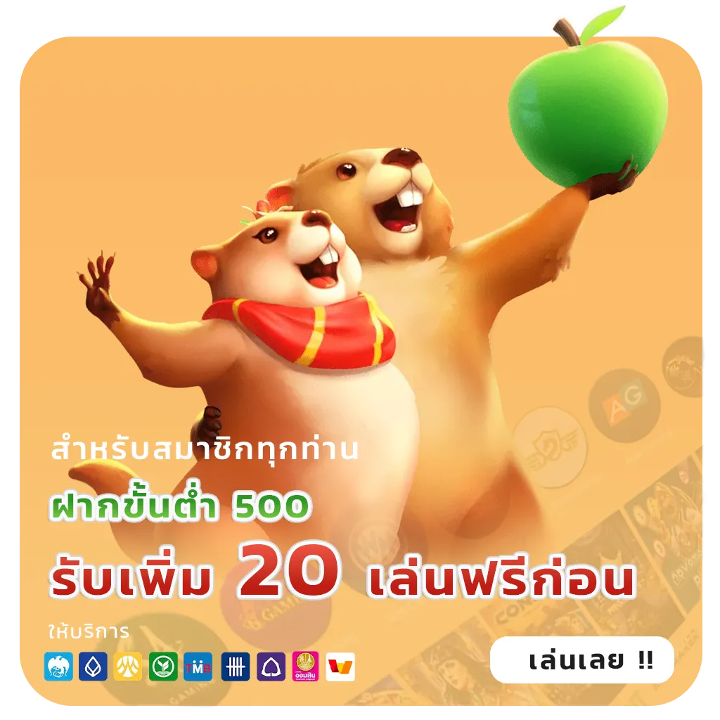 chok 58 Pro